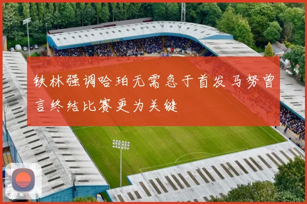 铁林强调哈珀无需急于首发马努曾言终结比赛更为关键