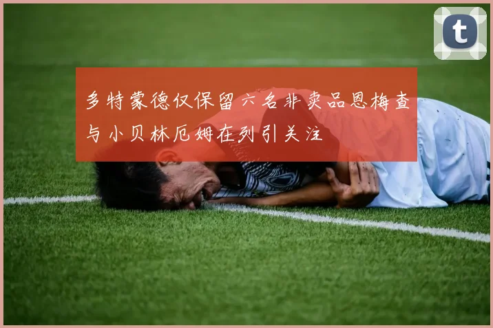 多特蒙德仅保留六名非卖品恩梅查与小贝林厄姆在列引关注